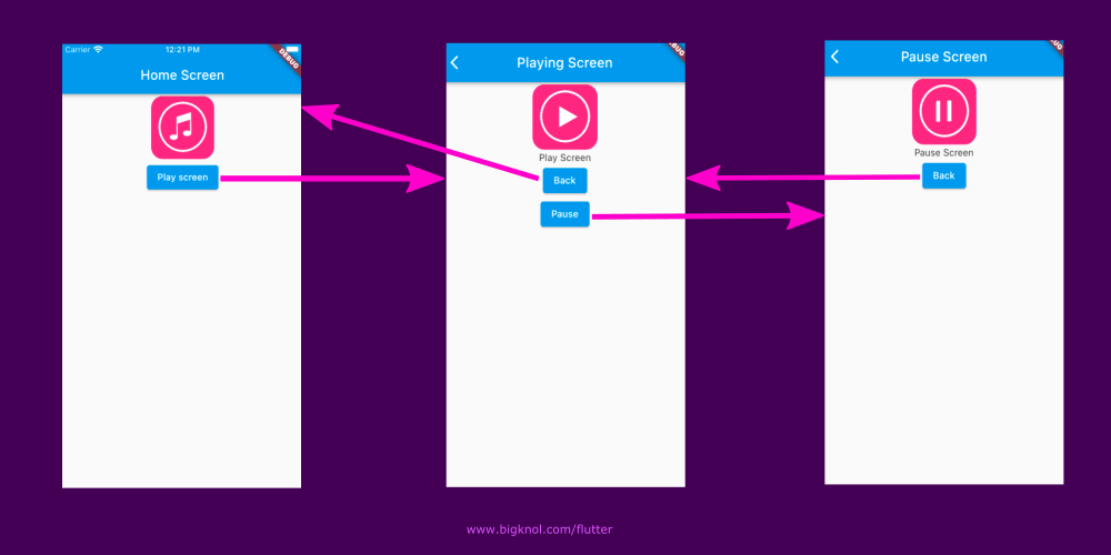 flutter routes