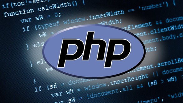 skripsi program php
