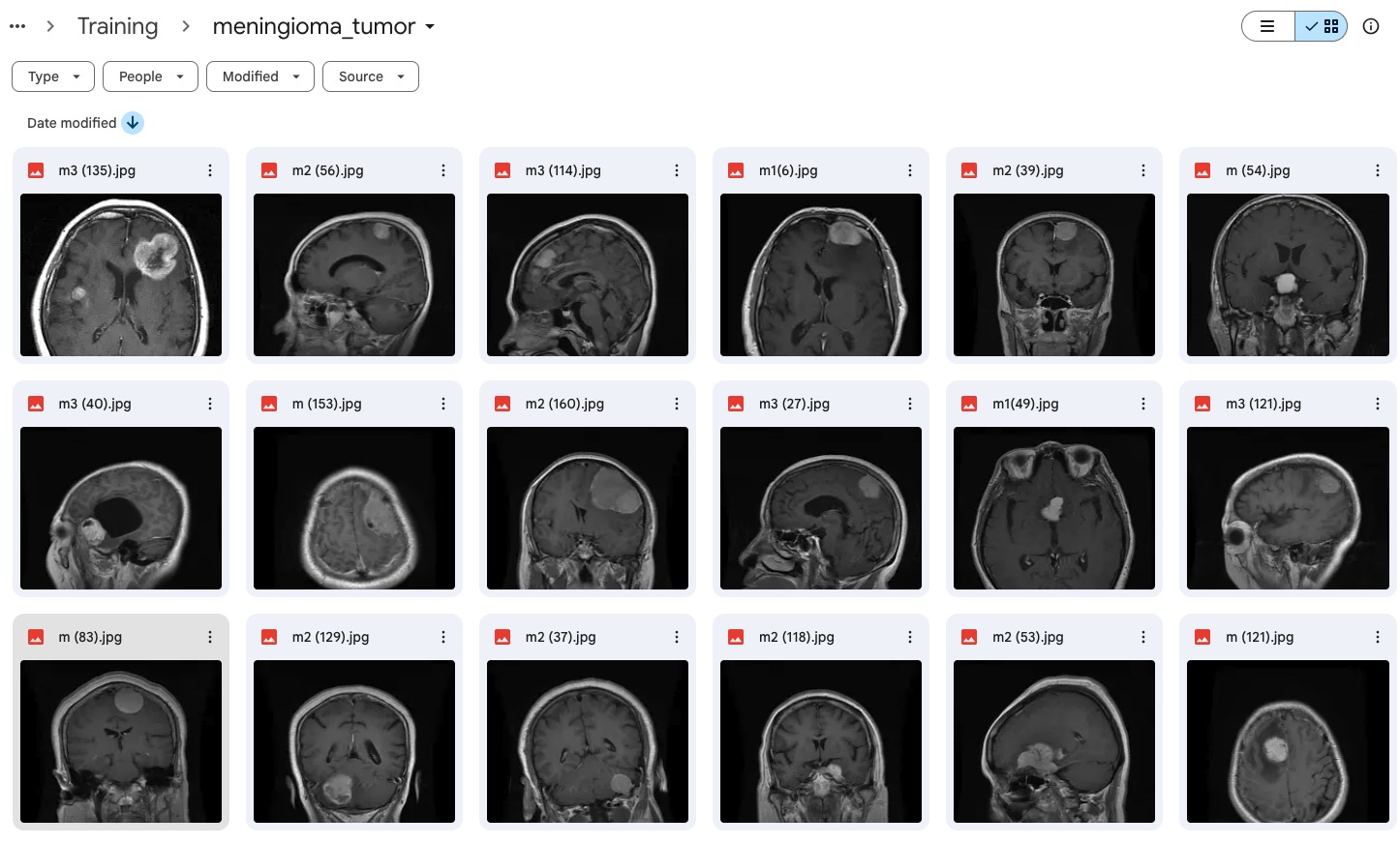 Dataset skripsi deteksi tumor otak