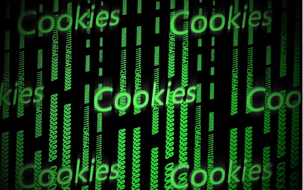 cookie hacking