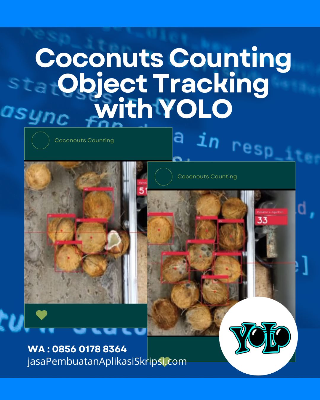 Coconuts Counting Object Tracking with YOLO