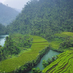 sungai di bawah bukit